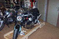 GRISO 8V